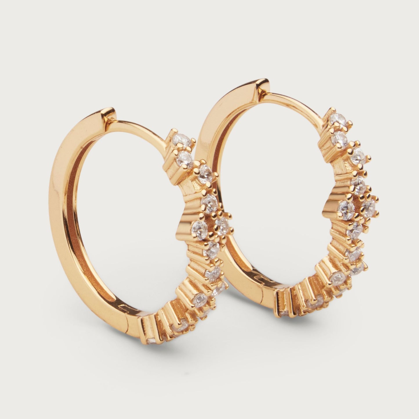 Twilight earrings