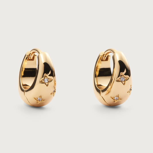 Gaze earrings