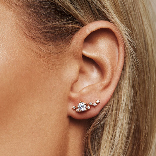 Midnight earrings
